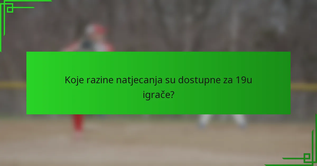Koje razine natjecanja su dostupne za 19u igrače?